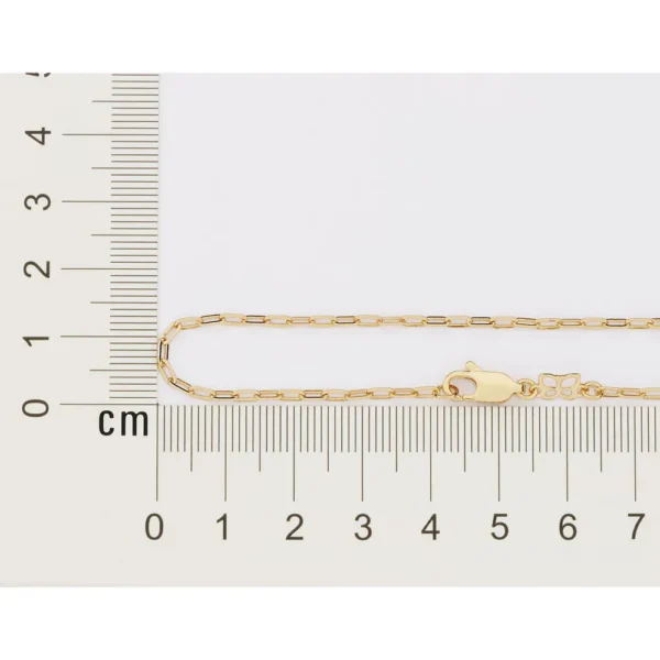CORDAO BANHADO A OURO 18K2