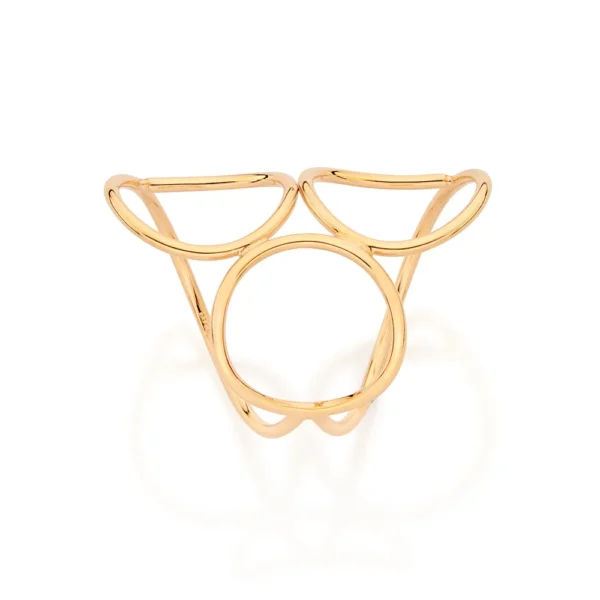MAXI ANEL ARO DUPLO COM CIRCULOS BANHADO A OURO 18K1